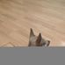 Profile Picture of Keith Knierim (@keith.knierim.73) on Facebook