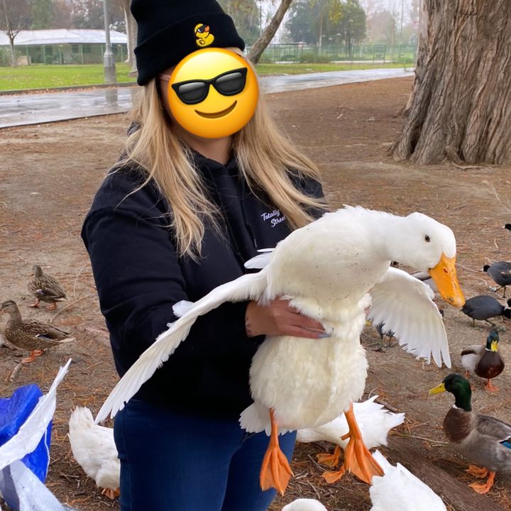 Profile Picture of Marilyn V (@marilyn_626) on Tiktok