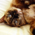 Andrew Moberg - Flickr Profile Picture of Andrew Moberg (@evolveone) on Flickr