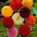 Profile Picture of nora elisa paz (@noraelisapaz) on Instagram