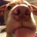 Profile Picture of Adam Guffey (@adam.guffey.9) on Facebook
