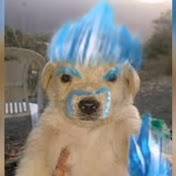 Profile Picture of Lorenzo Becerra (@lorenzobecerra158) on Youtube