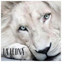 Profile Picture of Lizeth Rivera (@lizeth-rivera-7) on Quora