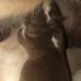 Profile Picture of Crystal Tolbert (@crystal.tolbert.9469) on Facebook