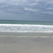 Profile Picture of Kaylee Quinn Roblox (@kayleesrobloxchannel) on Youtube