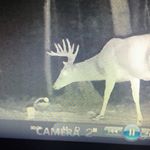 Profile Picture of David Sizemore (@david.sizemore.1238) on Instagram