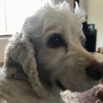 Profile Picture of Ian and Sue Brown (@ian_and_sue_brown) on Instagram