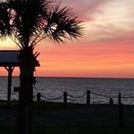 Profile Picture of Renee Plank Downing (@reneedowning67) on Instagram