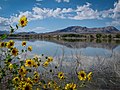 Profile Photo of Pahranagat National Wildlife Refugeon Wikipedia