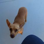 Profile Picture of Claudine Bellanger (@claudine.bellanger.336) on Instagram