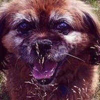 Profile Picture of George Parsons (@george-parsons-6) on Quora