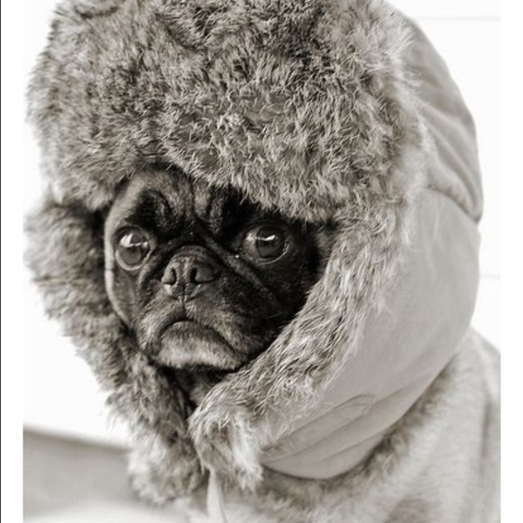 Profile Picture of Alex Parrish (@1997alex) on Poshmark