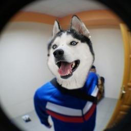 Profile Picture of Данил Исаков (@dan_isakov) on Twitter