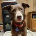 Profile Picture of William Kieffer (@william.kieffer.967) on Facebook