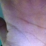 Profile Picture of stevensegovia (@stevensegovia) on Instagram