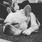 Profile Picture of Neil (@neil.shine) on Instagram