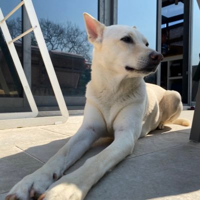 Profile Picture of Lily Tam (@lily_tamiko) on Twitter