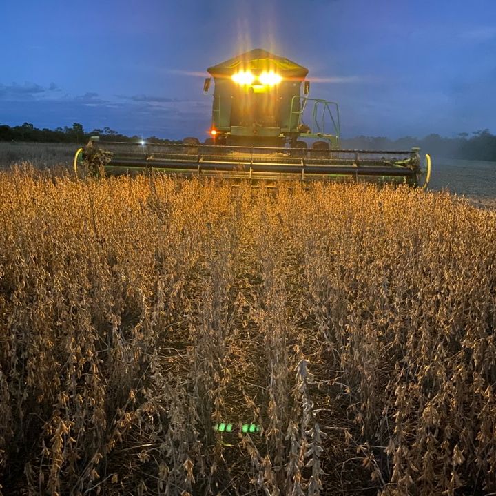 Profile Picture of Peter knelsen (@peter.knelsen8) on Tiktok