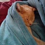 Profile Picture of Robert Bruyere (@robertbruyere) on Instagram