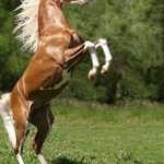 Profile Picture of Eulalio Diaz (@eulaliosalvador) on Instagram