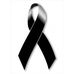 Profile Picture of Sebastian Lugo (@sebastian.lugo.397948) on Facebook
