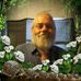 Profile Picture of Douglas Cordell (@douglas.cordell.56) on Facebook