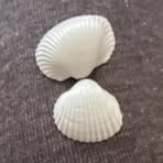 Profile Picture of Laura Vandel (@laura.vandel.165) on Facebook