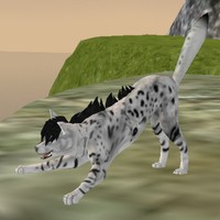 Profile Picture of Julia Kellner (@julia-kellner-2) on Quora