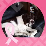 Profile Picture of Juliette Sibille (@Juliette-Sibille) on Facebook