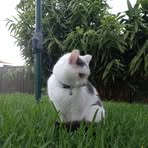 Profile Picture of Benjamin Rowland (@benjamin.rowland.735242) on Facebook