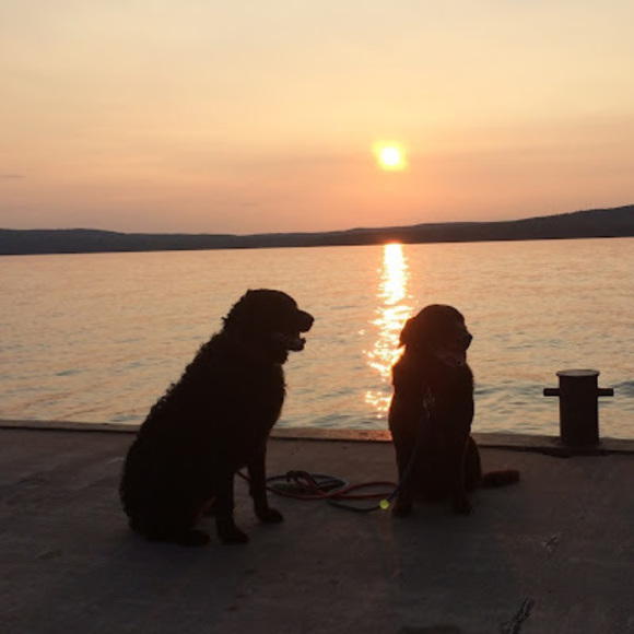 Profile Picture of Ruth&john Stech (@wiskansin17) on Poshmark