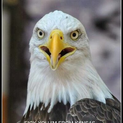 Profile Picture of Mark Casteel (@CasteelMark) on Twitter
