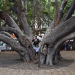 Profile Picture of Bobbie Brooks (@bobbie.brooks) on Instagram