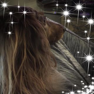 Profile Picture of Jeannine Gaudino (@jeannine.gaudino) on Facebook