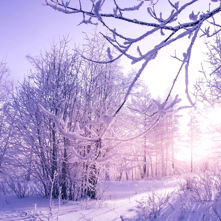 Profile Picture of Howard Ledsham (@howardledsham) on Tiktok