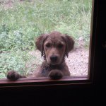 Profile Picture of Neil Dennehy (@njdennehy) on Instagram