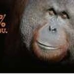Profile Picture of Holm Miehlbradt (@holm188) on Instagram