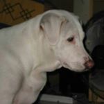 Profile Picture of Joey Mansilla (@mansillajoey) on Instagram