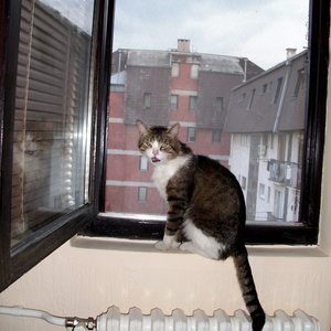 Profile Picture of John Wicliffe (@battarallex123) on Myspace