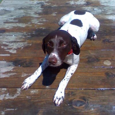 Profile Picture of Mark Dressler (@mhdressler) on Twitter