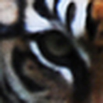 Canada7917 - Flickr Profile Picture of Canada7917 (@canada7917) on Flickr