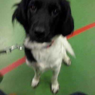 Lara. Van Den Berg - Twitter Profile Picture of Lara. Van Den Berg (@laartjeberg) on Twitter