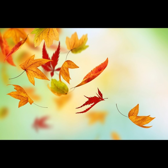 Profile Picture of Brianna Cinque (@briannacinque) on Poshmark