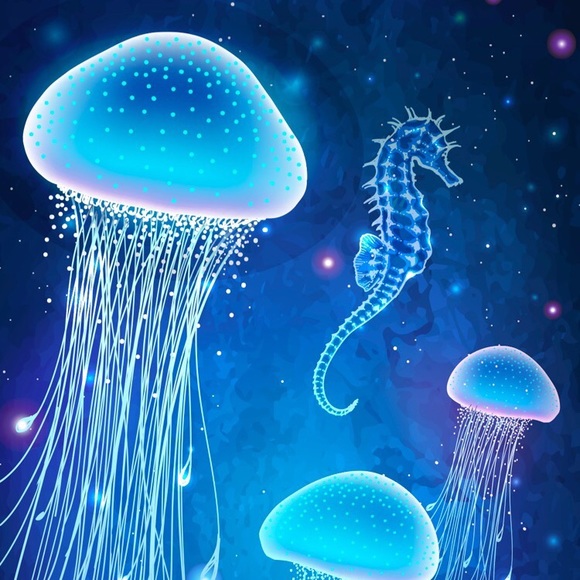 Profile Picture of Sheleaka Ottey (@sheleakao95) on Poshmark