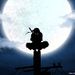 Profile Picture of Avi Verma2 (@pawanjiv26) on Pinterest
