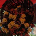 Profile Picture of Lily Benguet (@Lily-Benguet) on Facebook