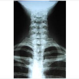 Profile Picture of Jace Ferguson (@DrJaceFerguson) on Twitter