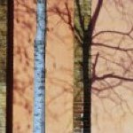 Profile Picture of David Newbery (@dnewbery) on Instagram