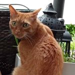 Profile Picture of Shelley Schultz (@cmsrealtyshelley) on Instagram