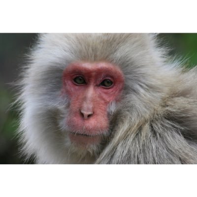 Profile Picture of Keisuke Izutsu (@izutooooo) on Twitter